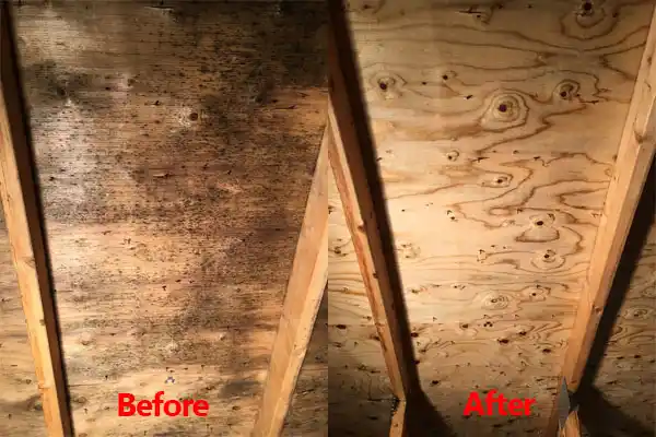 water damage restoration service Brethren